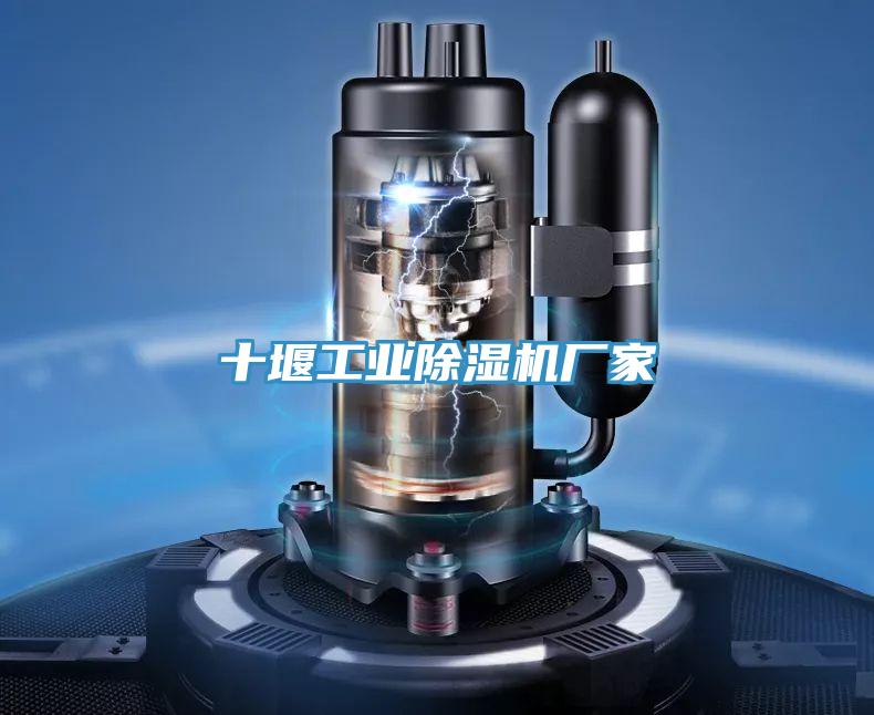 十堰工业抖音成人版下载厂家