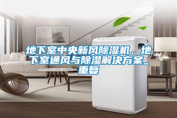 地下室中央新风抖音成人版下载，地下室通风与除湿解决方案_重复