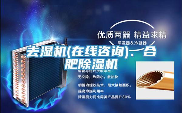 去湿机(在线咨询)、合肥抖音成人版下载