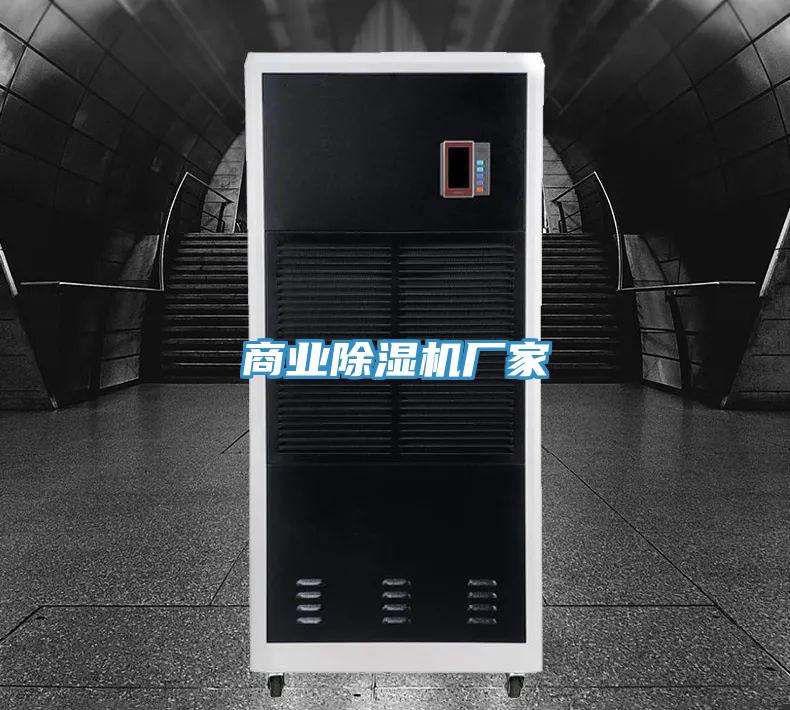 商业抖音成人版下载厂家