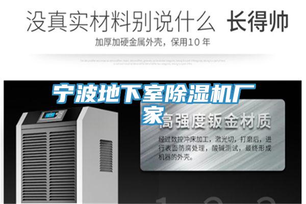 宁波地下室抖音成人版下载厂家