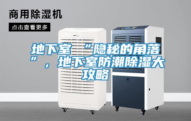 地下室≠“隐秘的角落”，地下室防潮除湿大攻略