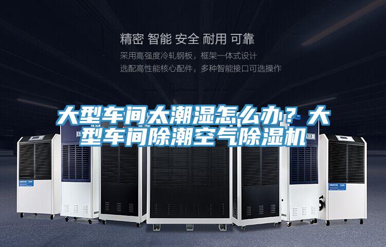 大型车间太潮湿怎么办？大型车间除潮空气抖音成人版下载