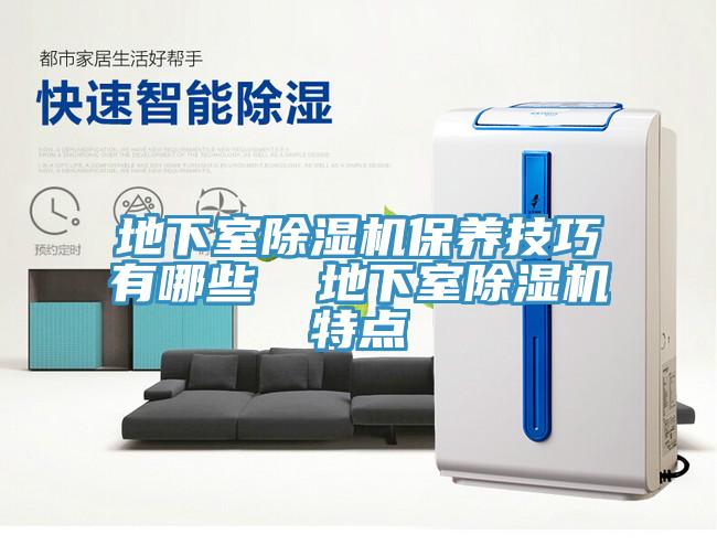 地下室抖音成人版下载保养技巧有哪些  地下室抖音成人版下载特点