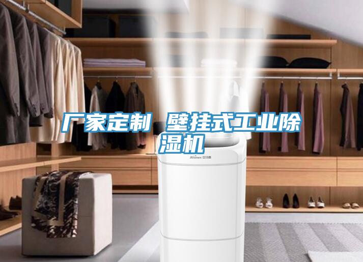 厂家定制 壁挂式工业抖音成人版下载