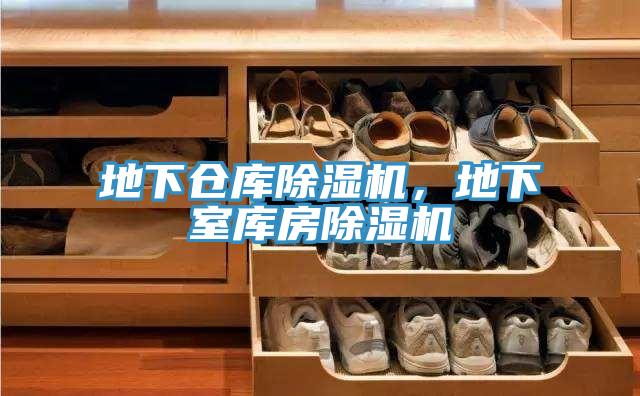 地下仓库抖音成人版下载，地下室库房抖音成人版下载