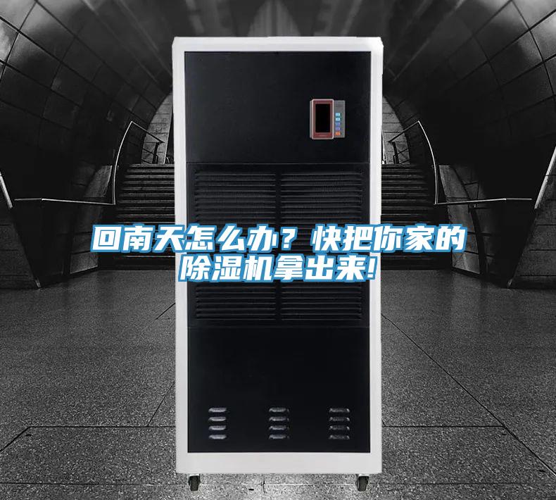 回南天怎么办？快把你家的抖音成人版下载拿出来!