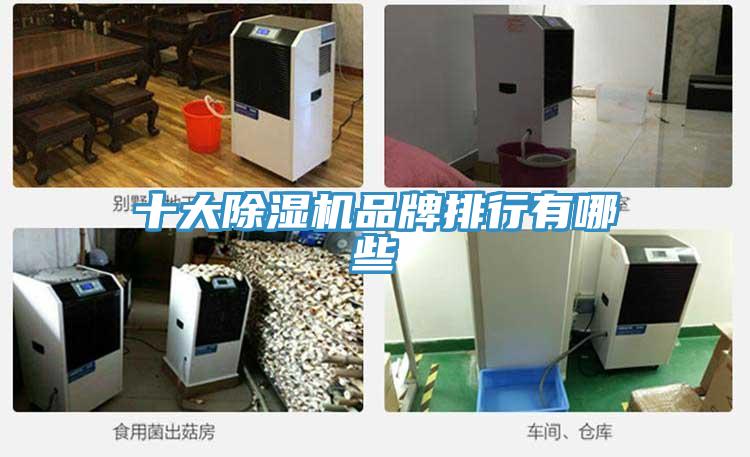 十大抖音成人版下载品牌排行有哪些