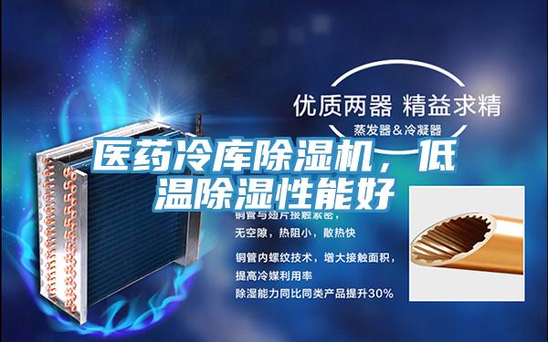 医药冷库抖音成人版下载，低温除湿性能好