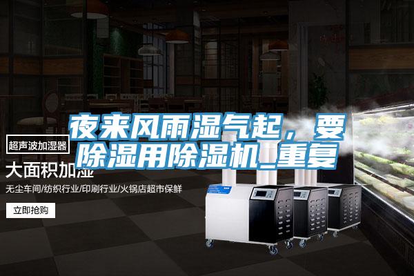 夜来风雨湿气起，要除湿用抖音成人版下载_重复