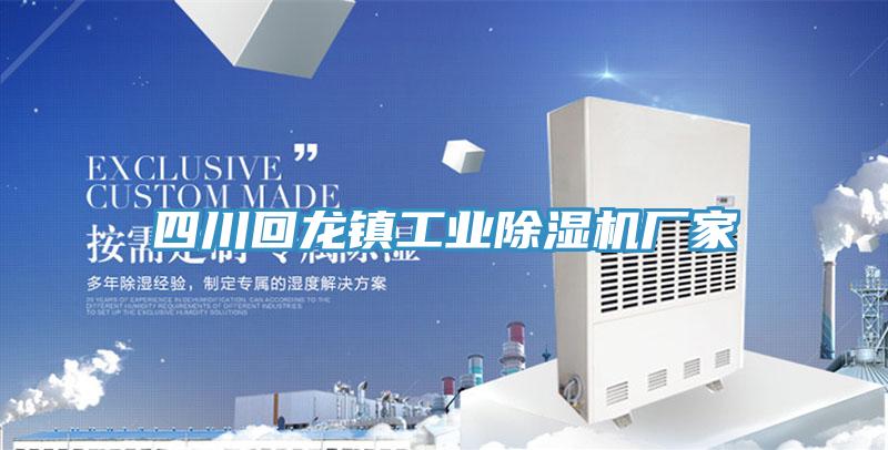 四川回龙镇工业抖音成人版下载厂家