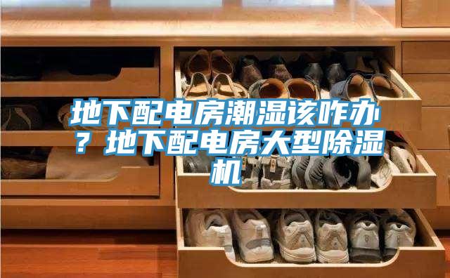 地下配电房潮湿该咋办？地下配电房大型抖音成人版下载