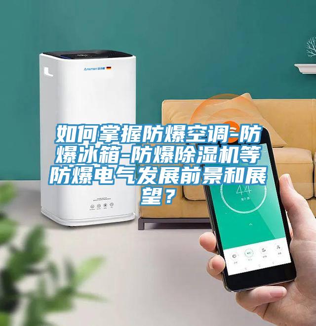 如何掌握防爆空调-防爆冰箱-防爆抖音成人版下载等防爆电气发展前景和展望？