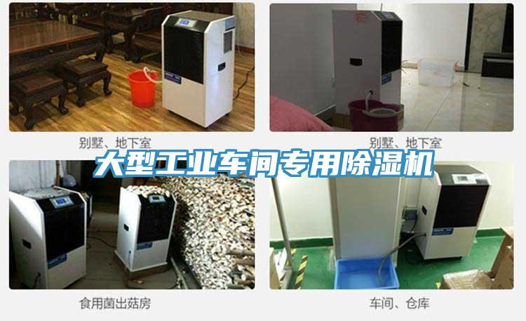 大型工业车间专用抖音成人版下载