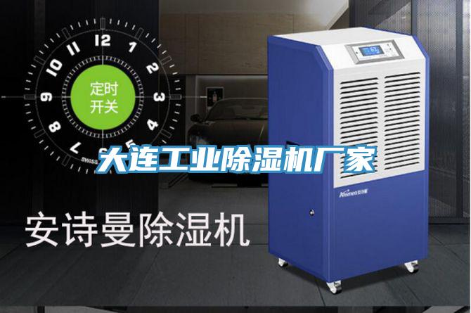 大连工业抖音成人版下载厂家