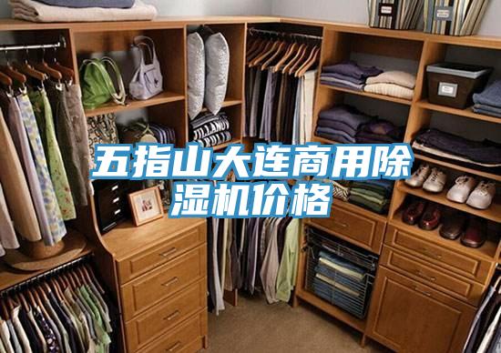 五指山大连商用抖音成人版下载价格