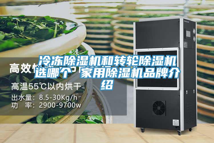 冷冻抖音成人版下载和转轮抖音成人版下载选哪个 家用抖音成人版下载品牌介绍