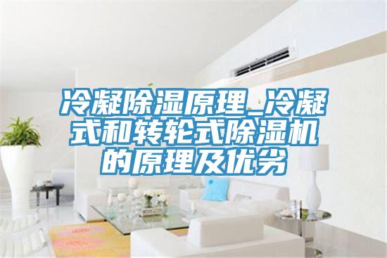 冷凝除湿原理_冷凝式和转轮式抖音成人版下载的原理及优劣