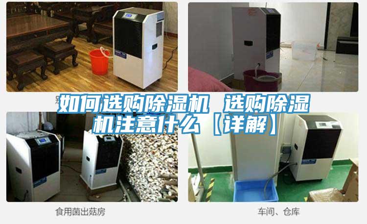 如何选购抖音成人版下载 选购抖音成人版下载注意什么【详解】