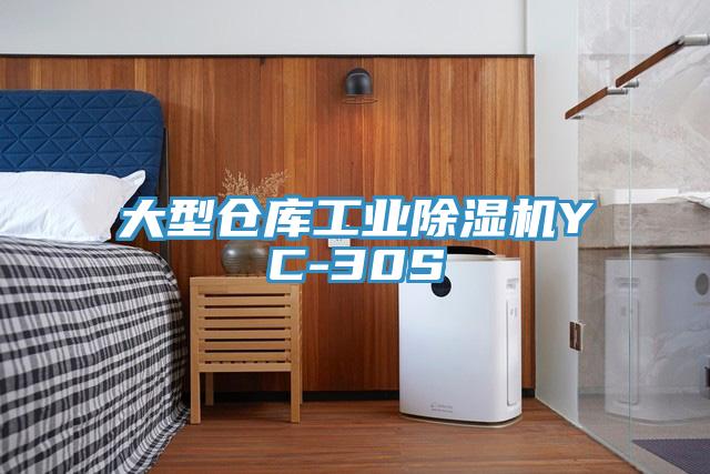 大型仓库工业抖音成人版下载YC-30S