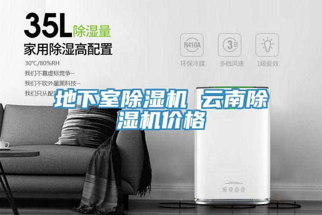 地下室抖音成人版下载 云南抖音成人版下载价格