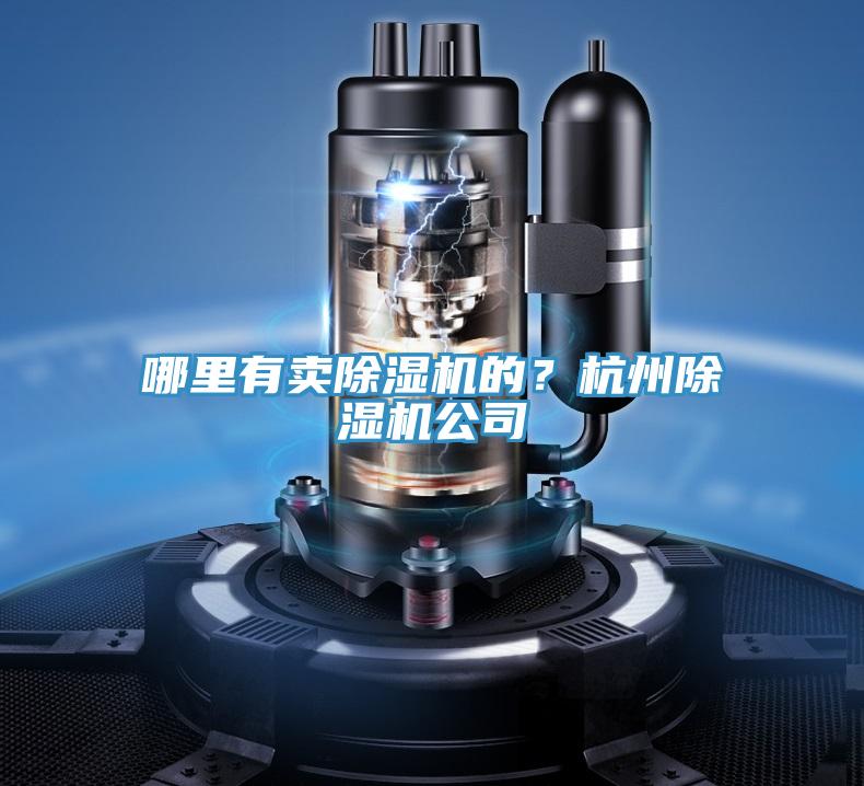 哪里有卖抖音成人版下载的？杭州抖音成人版下载公司