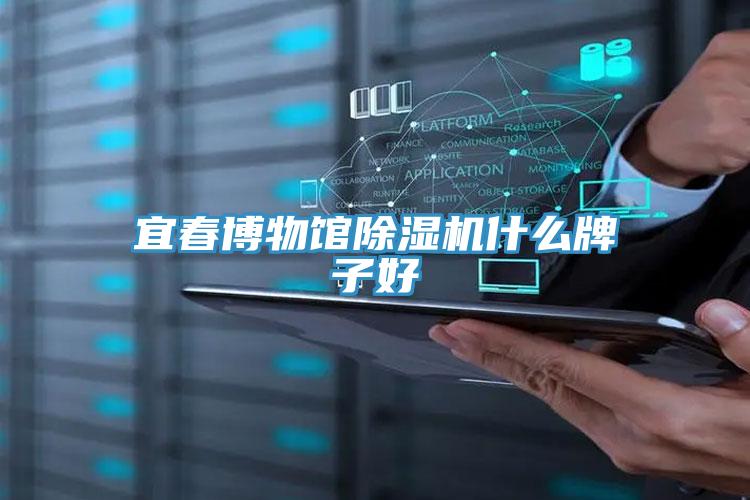 宜春博物馆抖音成人版下载什么牌子好