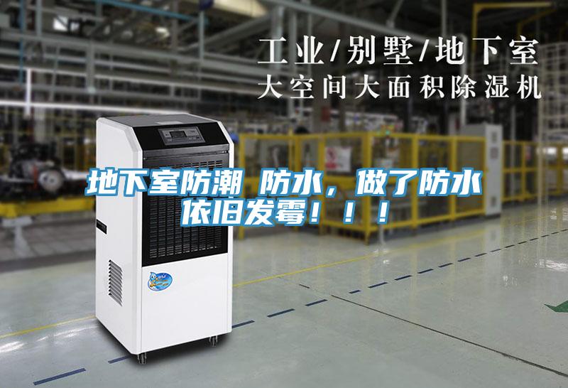 地下室防潮≠防水，做了防水依旧发霉！！！