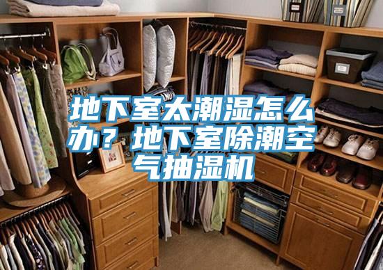 地下室太潮湿怎么办？地下室除潮空气抽湿机