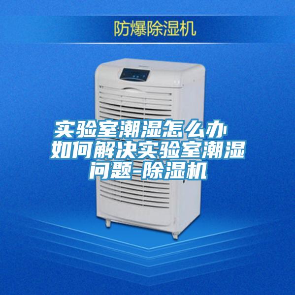 实验室潮湿怎么办 如何解决实验室潮湿问题-抖音成人版下载