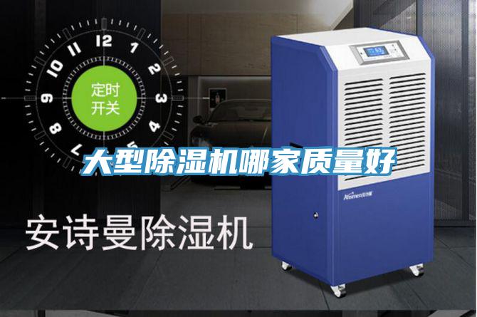 大型抖音成人版下载哪家质量好