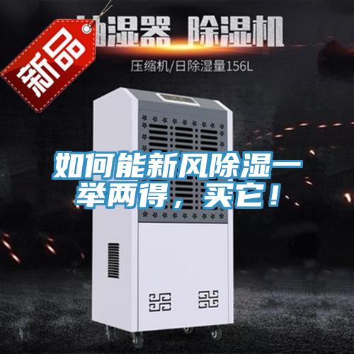 如何能新风除湿一举两得，买它！