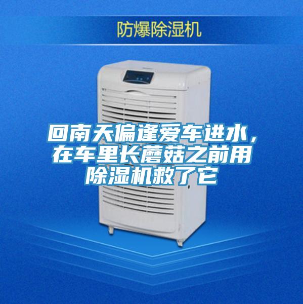 回南天偏逢爱车进水，在车里长蘑菇之前用抖音成人版下载救了它