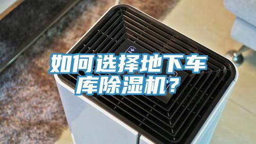 如何选择地下车库抖音成人版下载？