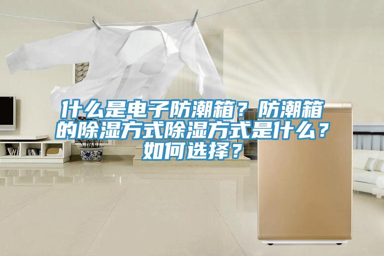 什么是电子防潮箱？防潮箱的除湿方式除湿方式是什么？如何选择？