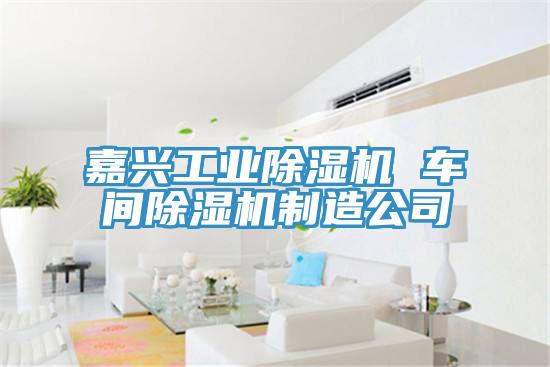 嘉兴工业抖音成人版下载 车间抖音成人版下载制造公司