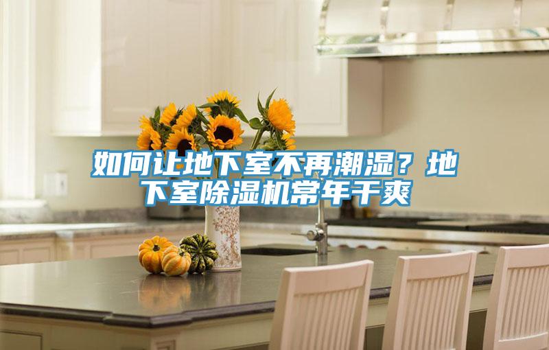 如何让地下室不再潮湿？地下室抖音成人版下载常年干爽