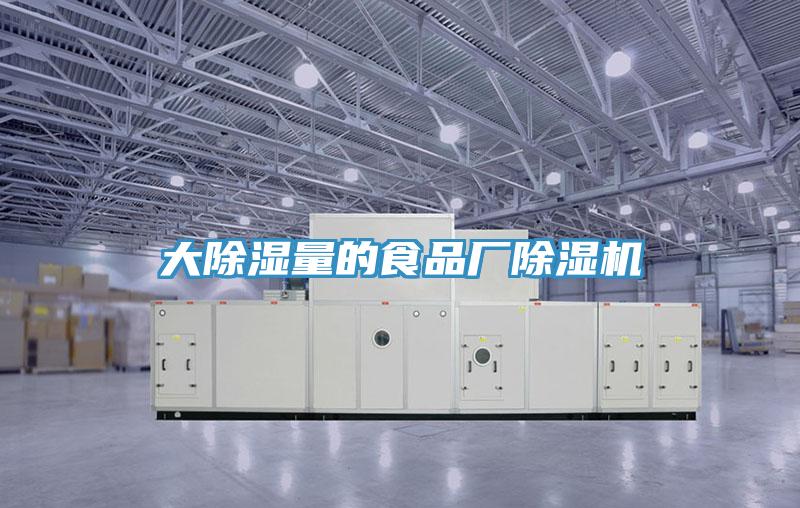 大除湿量的食品厂抖音成人版下载