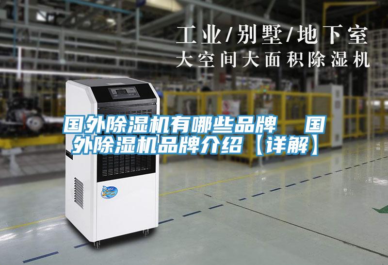 国外抖音成人版下载有哪些品牌  国外抖音成人版下载品牌介绍【详解】