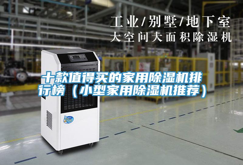 十款值得买的家用抖音成人版下载排行榜（小型家用抖音成人版下载推荐）