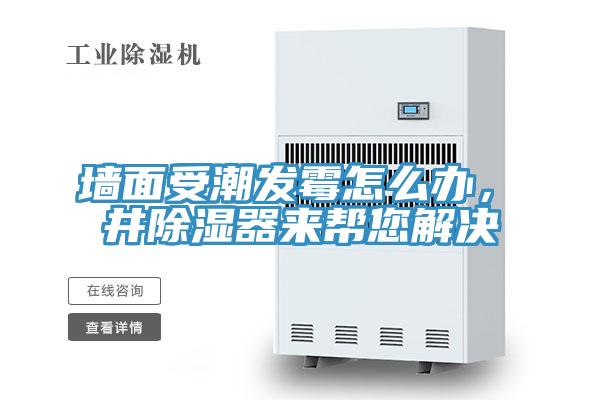 墙面受潮发霉怎么办，東井除湿器来帮您解决