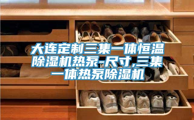 大连定制三集一体恒温抖音成人版下载热泵-尺寸,三集一体热泵抖音成人版下载