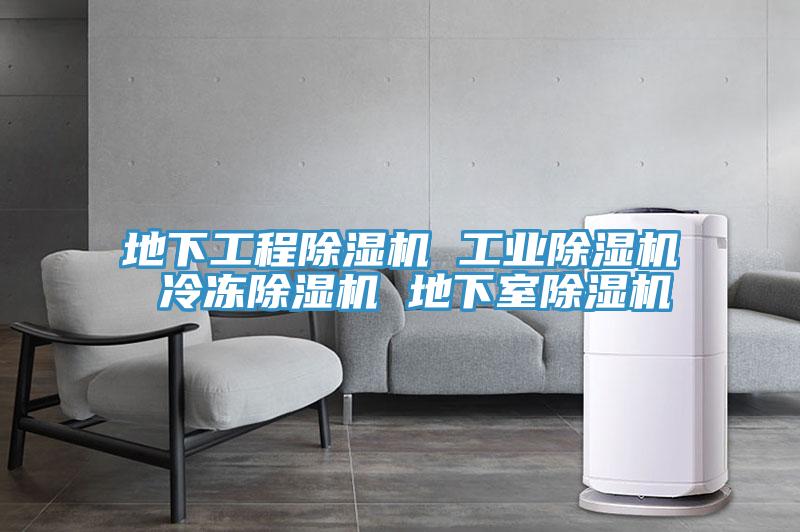 地下工程抖音成人版下载 工业抖音成人版下载 冷冻抖音成人版下载 地下室抖音成人版下载