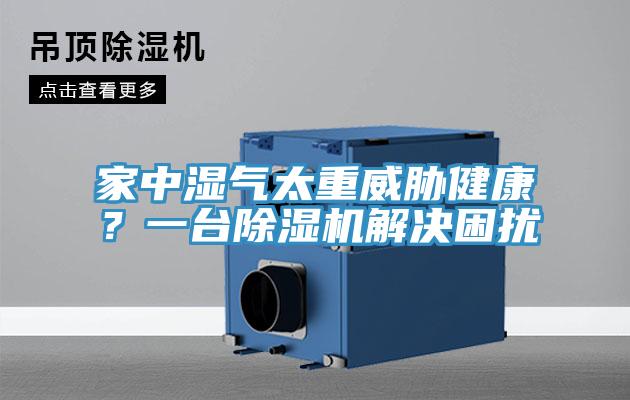 家中湿气太重威胁健康？一台抖音成人版下载解决困扰