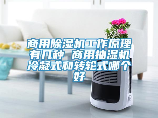 商用抖音成人版下载工作原理有几种 商用抽湿机冷凝式和转轮式哪个好