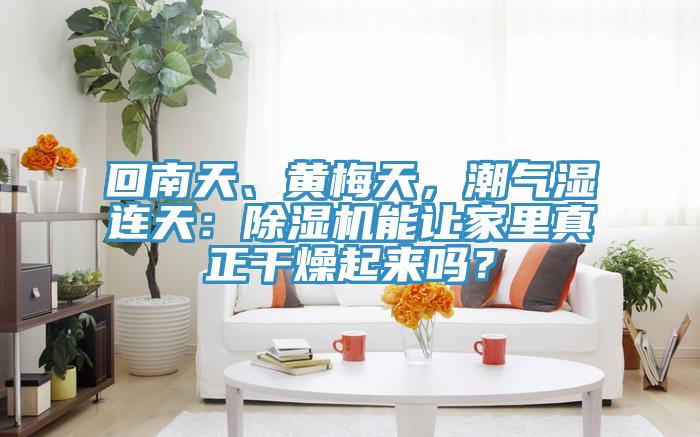 回南天、黄梅天，潮气湿连天：抖音成人版下载能让家里真正干燥起来吗？