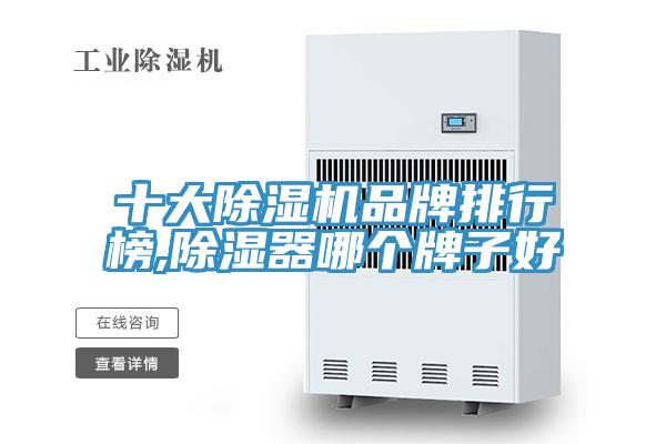 十大抖音成人版下载品牌排行榜,除湿器哪个牌子好