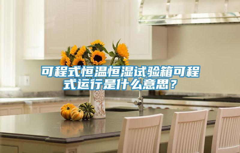 可程式恒温恒湿试验箱可程式运行是什么意思？