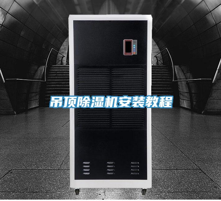 吊顶抖音成人版下载安装教程