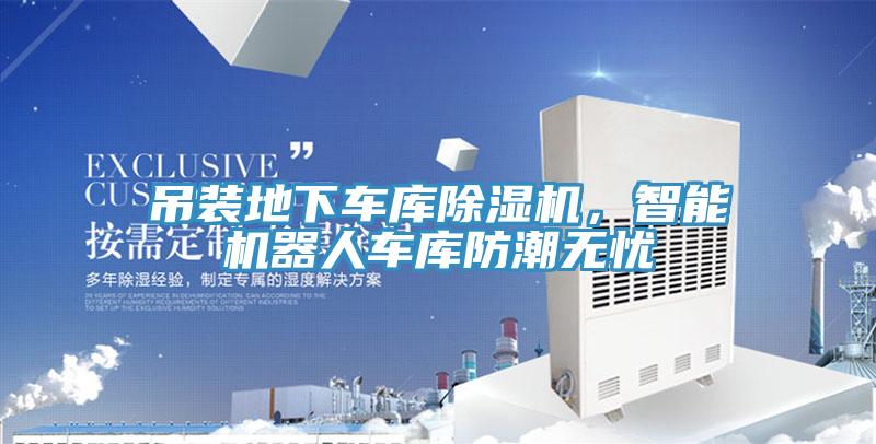 吊装地下车库抖音成人版下载，智能机器人车库防潮无忧